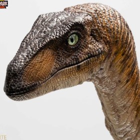 Velociraptor Clever Girl Jurassic Park 1/4 Statue by Elite Creature Collectibles